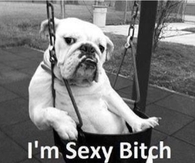 Im Sexy