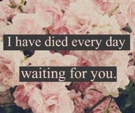 Every Day Waiting For You