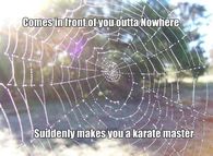 karate master