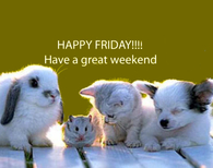 Have a great weekend