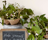 Rustic decor