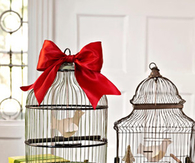 Birdcages