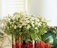 Cranberry vase