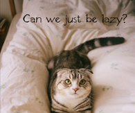 Can we just be lazy