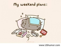 Weekend plans