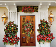Entryway gardening