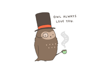 Owl always love you