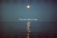 You are what I want