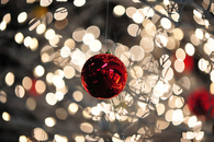 Single red ornament
