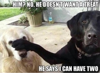 I can have two