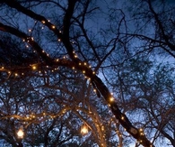 Romantic Outdoor Dining