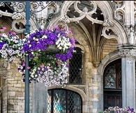 Elegant Street Hanging Baskets & Planters