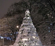 White christmas tree