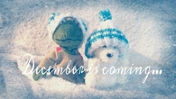 December is coming