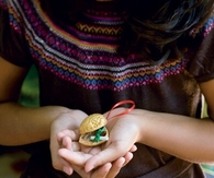Good fortune walnuts