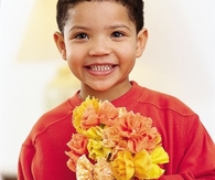 Festive flowers