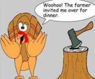 dumb turkey