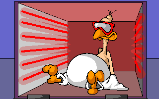 Turkeu sauna