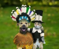 cute thanksiving pets
