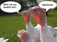 thankful for vegetarians
