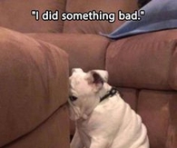 i did something bad