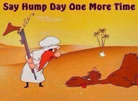 hump day
