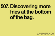 507-fries