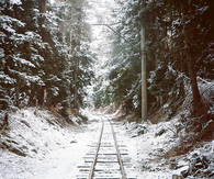 A cold winter