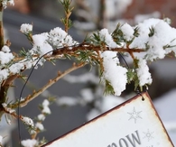 Let it snow