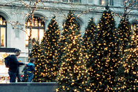 Row of lit trees