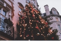 Christmas tree on the side of a building