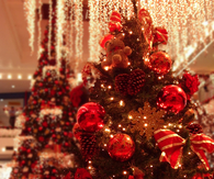 Christmas decorations on tree