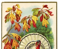 Thanksgiving Greetings