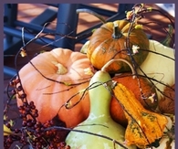 happy thanksgiving