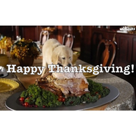 Happy Thanksgiving