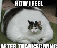 How I feel after Thanksgiving