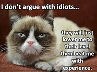 I dont argue with idiots