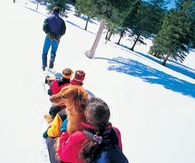 Sled pulling competition