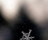 Single snowflake
