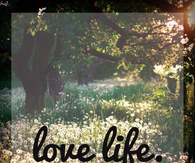 Love life