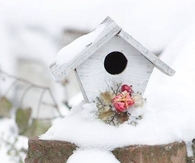 Birdhouse in the Snow