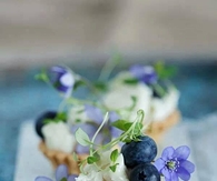 Mini Blueberry Tarts