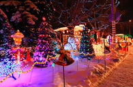 Colorful Lights