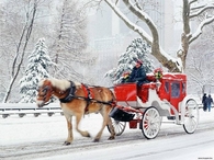 Winter Carriage Ride