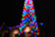 Colorful Lights Christmas Tree