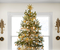 A colorful christmas