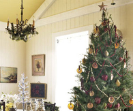 Fruity ornaments