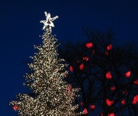 Sparkly Christmas Tree