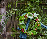 Ivey and berry wreath
