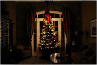 Christmas tree in the dark